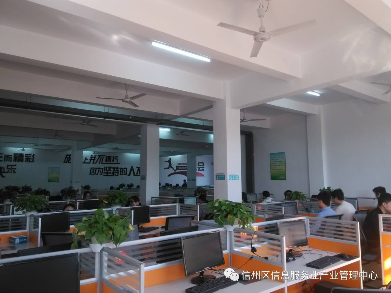 信息服务业产业管理中心 为新入驻企业构筑金融信息咨询服务新高地